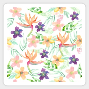 Birds of paradise | Watercolor | Pattern | Floral Sticker